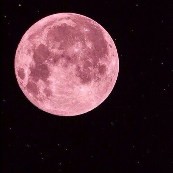 Will accept offers on any items ✨🦋 - Picture 1 of 1